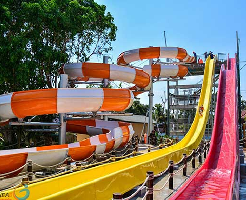 Crazy Cruise Freefall/Wavy