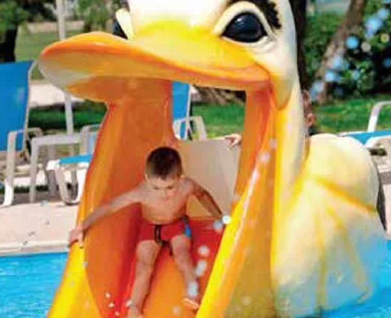 Duck Slide