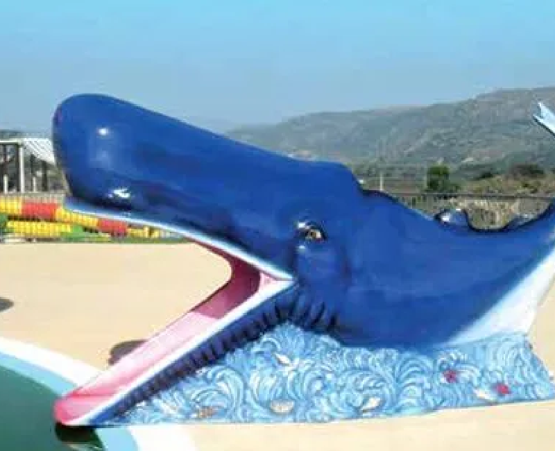 Whale Slide